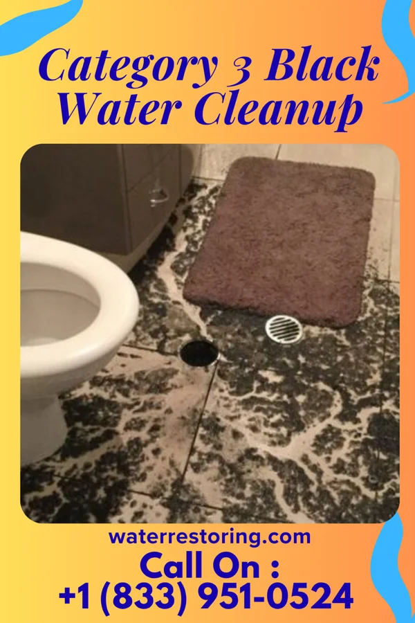 Category 3 Black Water Cleanup in Rienzi, MS