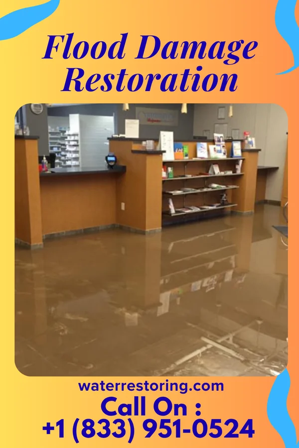 Flood Damage Restoration in Rienzi, MS