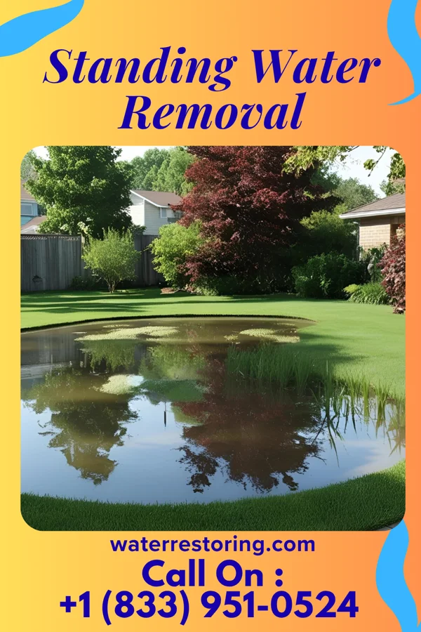 Standing Water Removal in Rienzi, MS